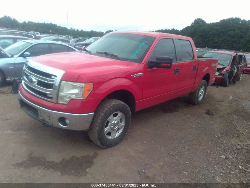 2013 FORD F-150 XL/XLT/FX4/LARIAT - 1FTFW1EF0DKD27679