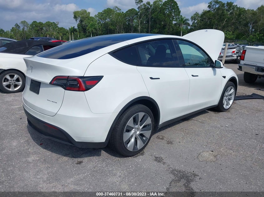 VIN 7SAYGDEE4PF613909 2023 TESLA MODEL Y