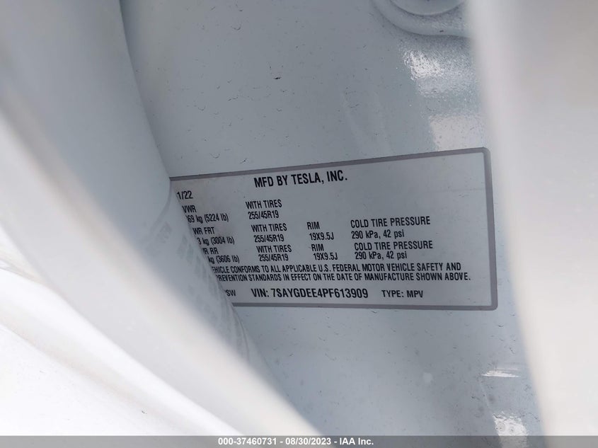 VIN 7SAYGDEE4PF613909 2023 TESLA MODEL Y
