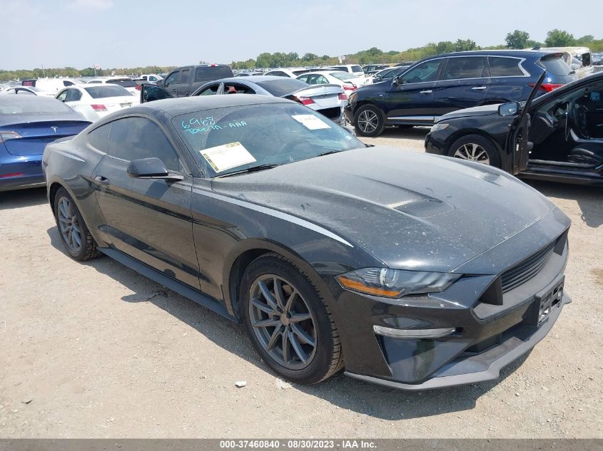 2019 FORD MUSTANG ECOBOOST - 1FA6P8TH7K5125174