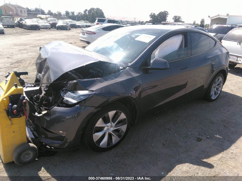 VIN 5YJYGDEE3MF182102 2021 TESLA MODEL Y