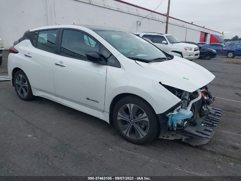 2019 NISSAN LEAF SV - 1N4AZ1CP1KC303112