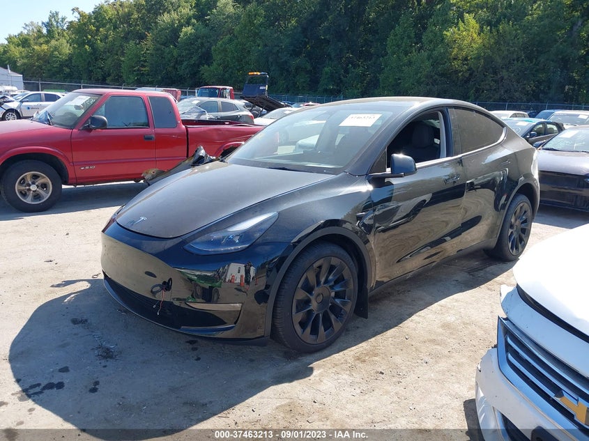 VIN 7SAYGDEE0PF760230 2023 TESLA MODEL Y LONG RANGE