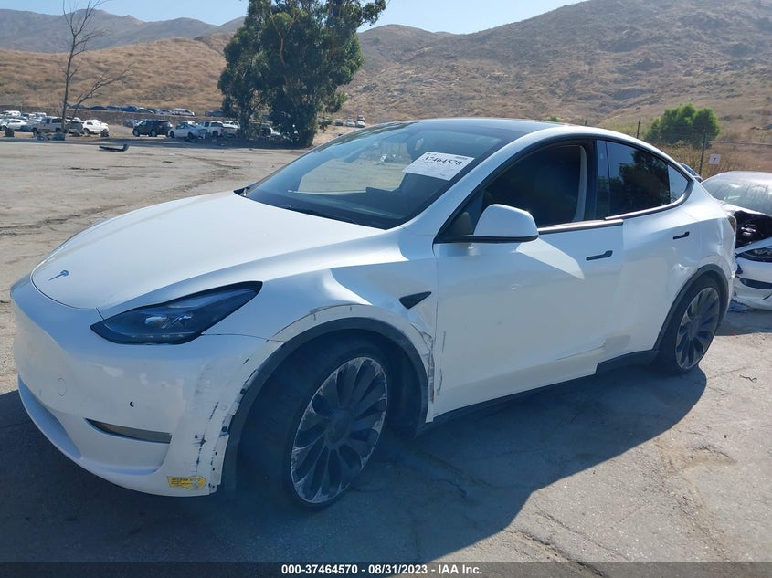 VIN 7SAYGDEF7NF329499 2022 TESLA MODEL Y PERFORMANCE