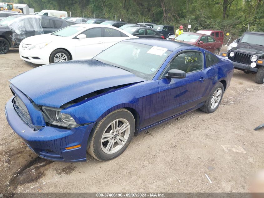 2013 FORD MUSTANG V6 - 1ZVBP8AMXD5262408