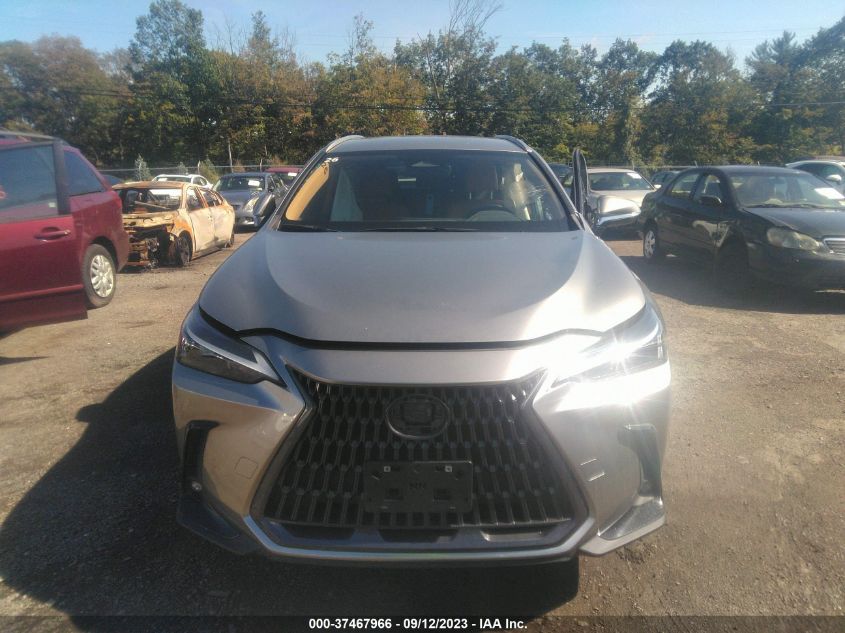 2022 LEXUS NX 250 JTJADCEZ8N5000207