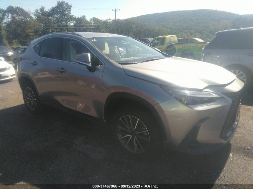 2022 LEXUS NX 250 - JTJADCEZ8N5000207