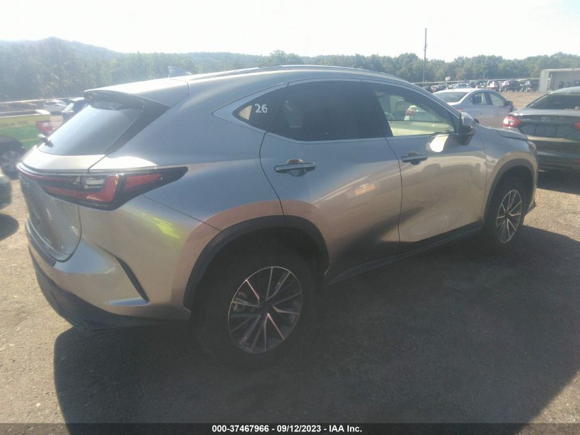 2022 LEXUS NX 250 JTJADCEZ8N5000207