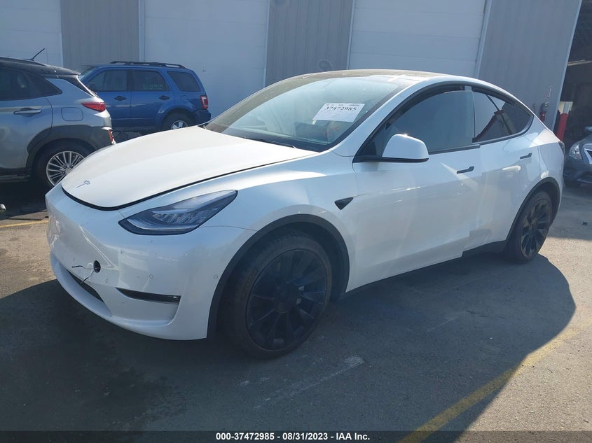 VIN 5YJYGDEE8MF212856 2021 TESLA MODEL Y LONG RANGE