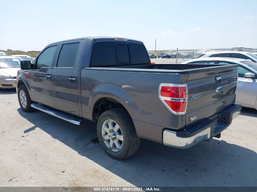 2013 FORD F-150 XL/XLT/FX2/LARIAT - 1FTFW1CT2DKG22727