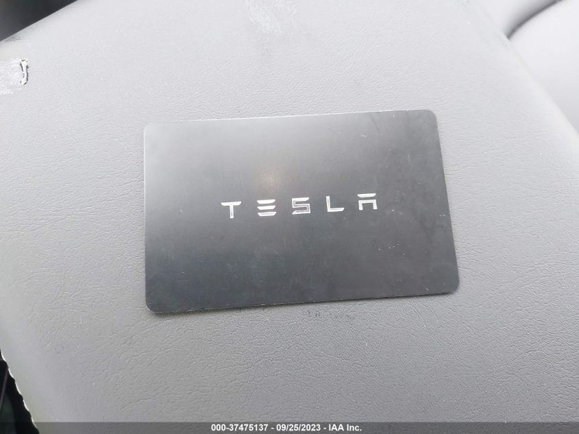 2023 TESLA MODEL Y - 7SAYGDEE4PF766886