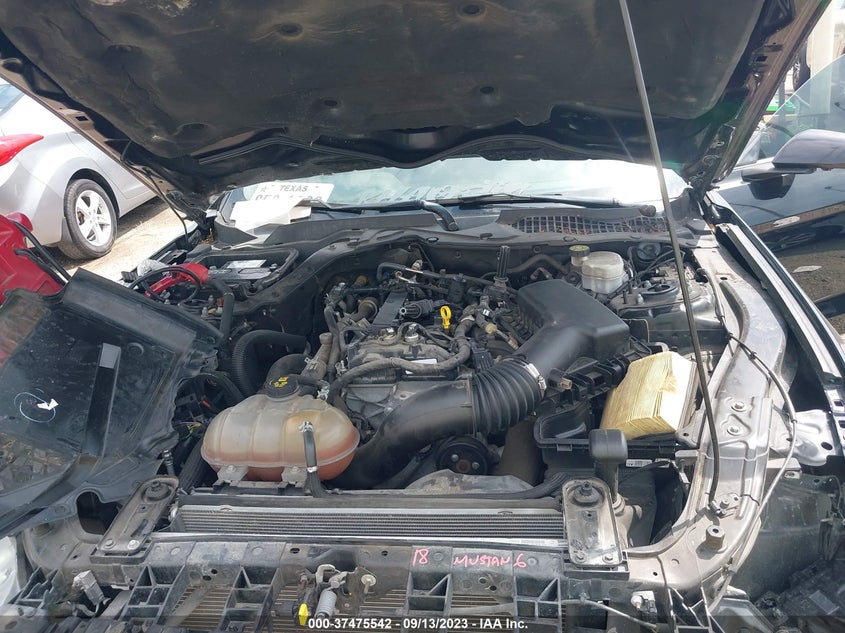 VIN 1FA6P8TH7K5123022 2019 FORD MUSTANG ECOBOOST