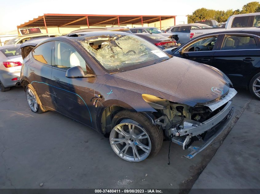 2023 TESLA MODEL Y - 7SAYGDEE0PA155198