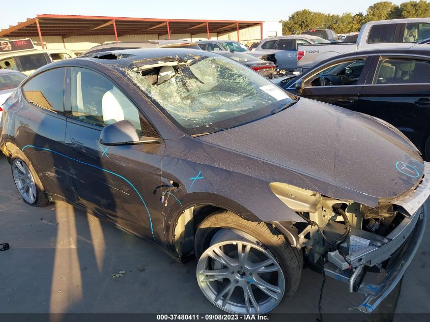 2023 TESLA MODEL Y - 7SAYGDEE0PA155198