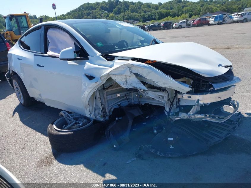 2023 TESLA MODEL Y LONG RANGE - 7SAYGDEE0PF624311