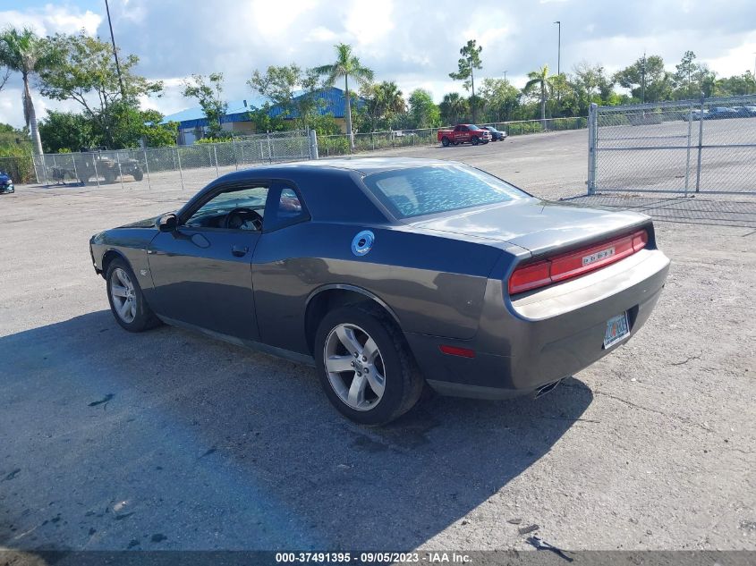 2013 DODGE CHALLENGER SXT - 2C3CDYAG7DH646024