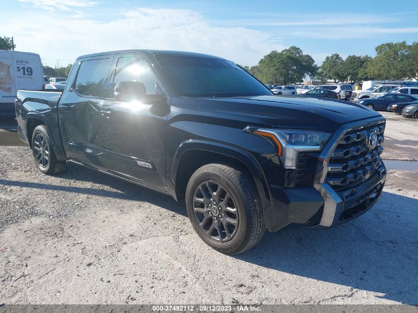 2022 TOYOTA TUNDRA PLATINUM - 5TFNA5AB6NX001376