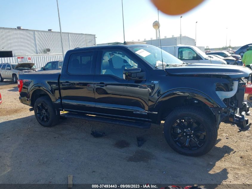 2023 FORD F-150 XL/XLT/LARIAT - 1FTFW1ED1PFB10783