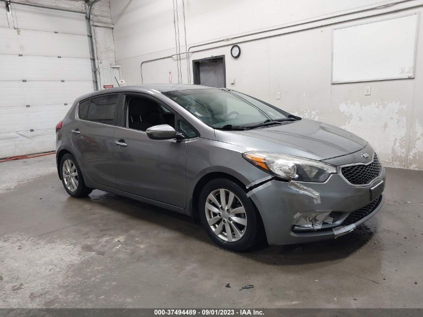 2015 KIA FORTE 5-DOOR EX - KNAFX5A81F5297621
