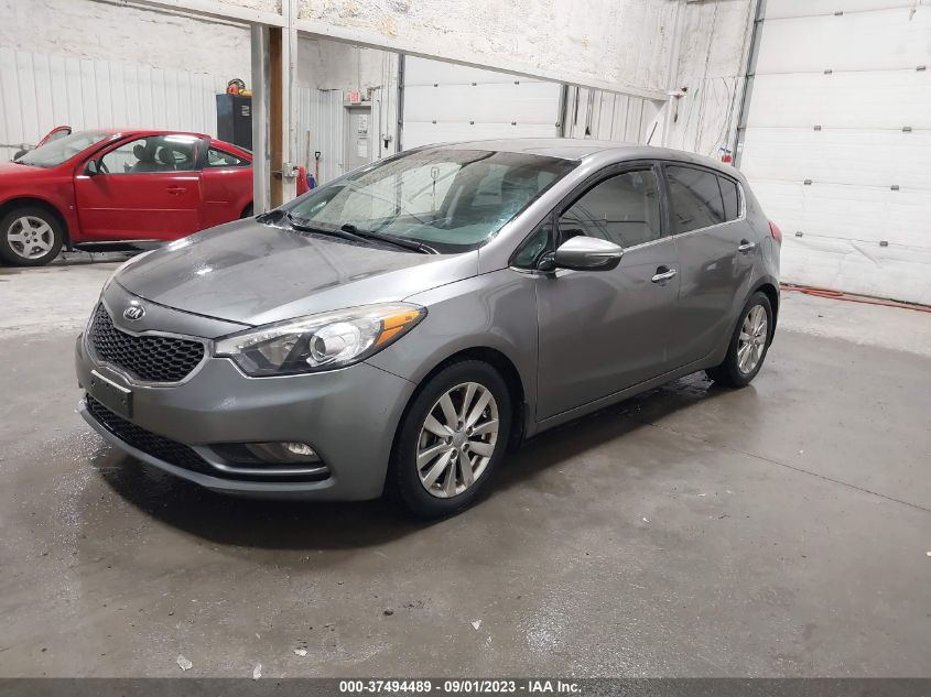 2015 KIA FORTE 5-DOOR EX - KNAFX5A81F5297621
