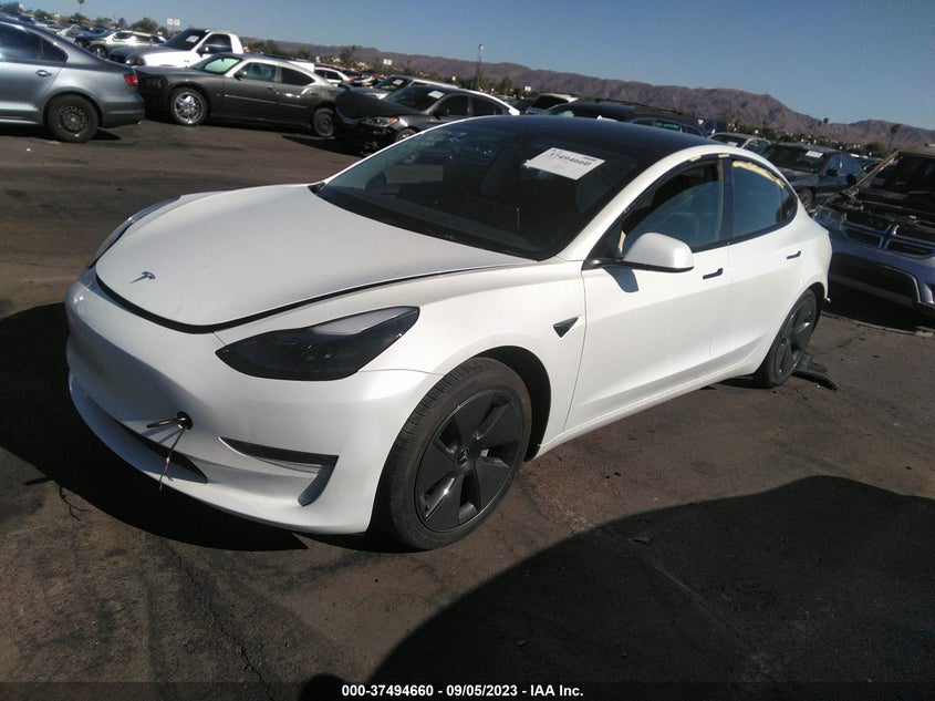 VIN 5YJ3E1EB0PF388342 2023 TESLA MODEL 3 LONG RANGE