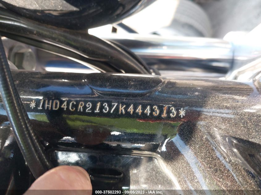 2007 HARLEY-DAVIDSON XL883 L - 1HD4CR2137K444313
