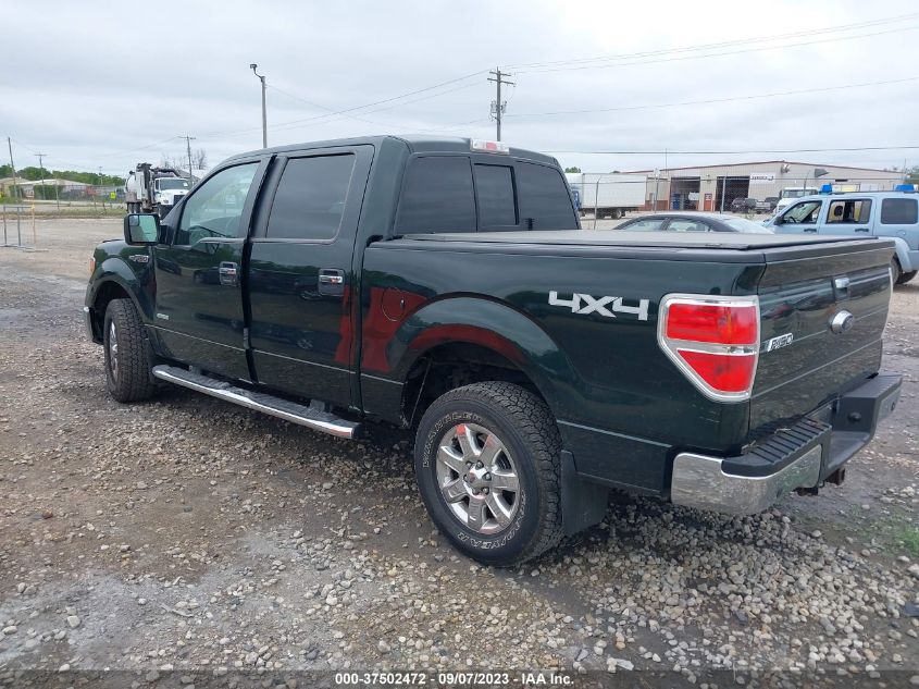 2014 FORD F-150 XL/XLT/FX4/LARIAT - 1FTFW1ET2EKD02533