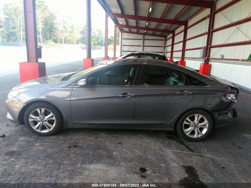 2013 HYUNDAI SONATA LIMITED - 5NPEC4AC2DH685804