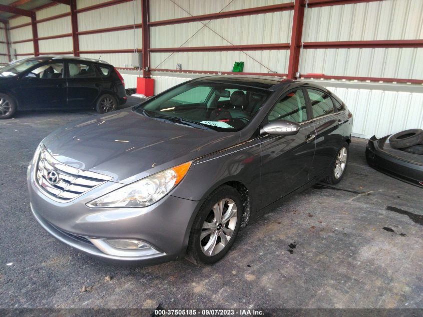 2013 HYUNDAI SONATA LIMITED - 5NPEC4AC2DH685804