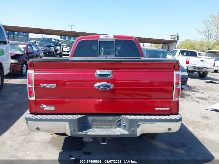 2013 FORD F-150 XL/STX/XLT/FX2/LARIAT - 1FTFX1CF1DFB01854