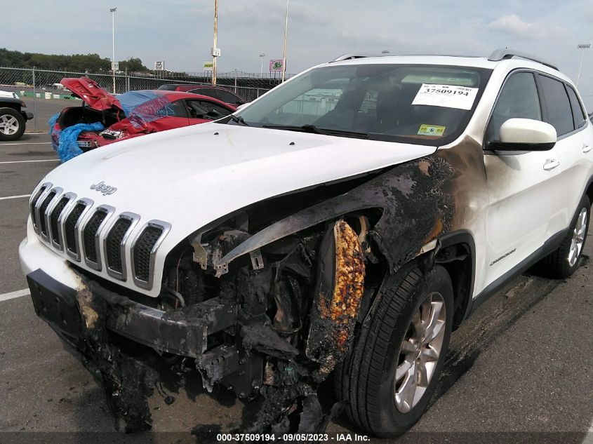 2014 JEEP CHEROKEE LIMITED - 1C4PJMDS6EW246845