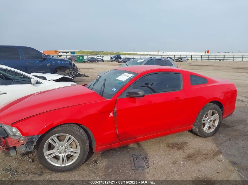 2013 FORD MUSTANG V6 - 1ZVBP8AM4D5249444