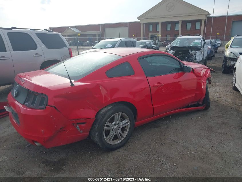 2013 FORD MUSTANG V6 - 1ZVBP8AM4D5249444