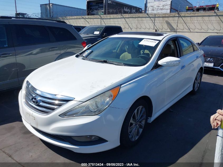 2014 HYUNDAI SONATA LIMITED - 5NPEC4AC6EH863618