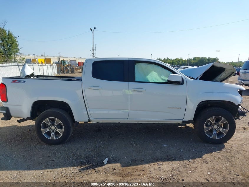 VIN 1GCGTDEN5K1192319 2019 CHEVROLET COLORADO 4WD Z71
