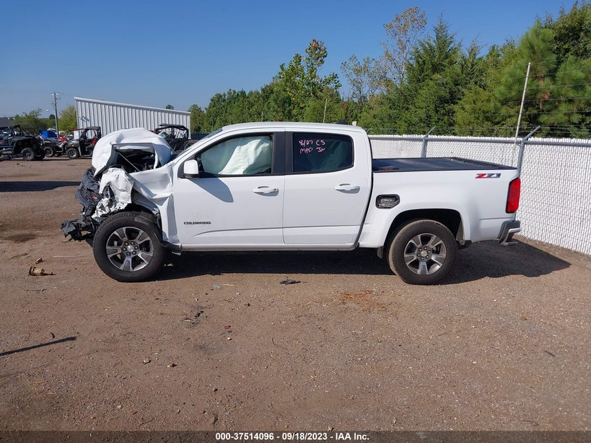 VIN 1GCGTDEN5K1192319 2019 CHEVROLET COLORADO 4WD Z71