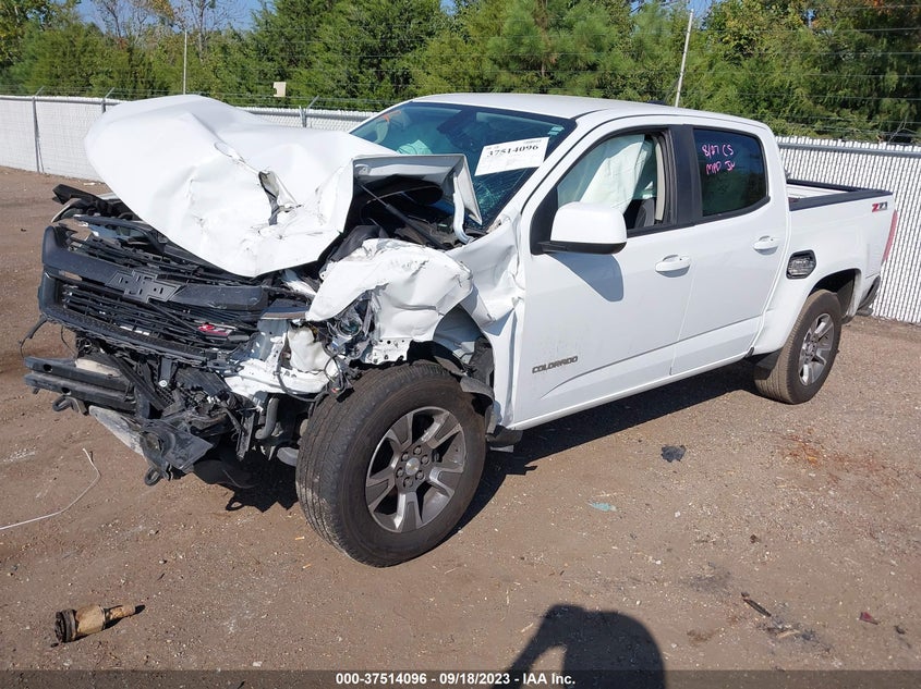 VIN 1GCGTDEN5K1192319 2019 CHEVROLET COLORADO 4WD Z71