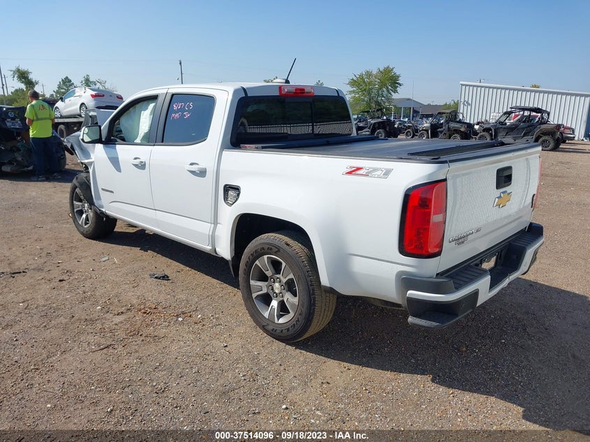 VIN 1GCGTDEN5K1192319 2019 CHEVROLET COLORADO 4WD Z71