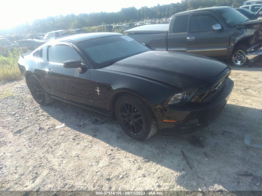 2013 FORD MUSTANG V6 - 1ZVBP8AMXD5252154