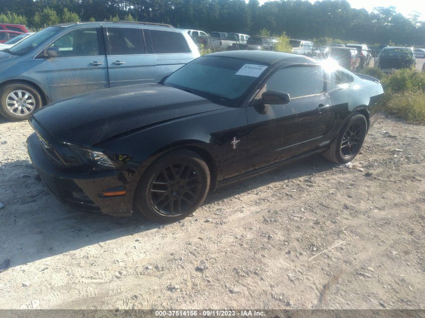 2013 FORD MUSTANG V6 - 1ZVBP8AMXD5252154