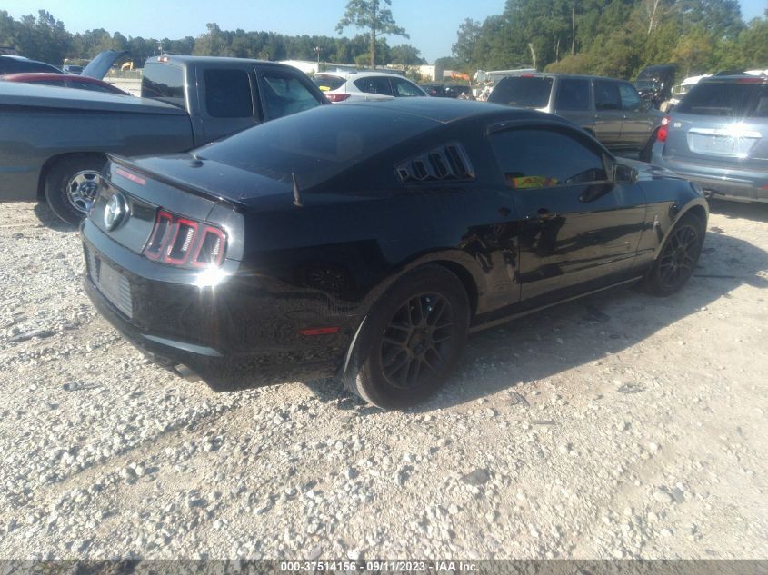 2013 FORD MUSTANG V6 - 1ZVBP8AMXD5252154