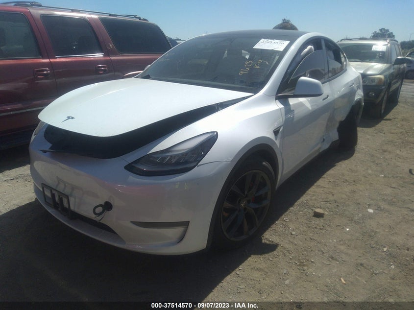 VIN 5YJYGDEF5MF097948 2021 TESLA MODEL Y