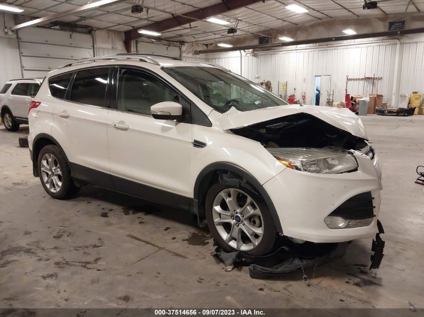 2014 FORD ESCAPE TITANIUM - 1FMCU9JX0EUD43971