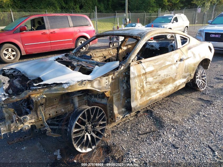 2021 FORD MUSTANG GT - 1FA6P8CF3M5101584
