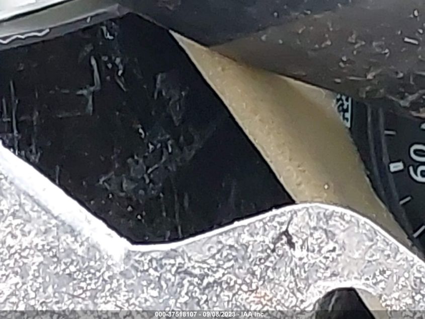 2019 NISSAN ALTIMA SL - 1N4BL4EV1KC110980