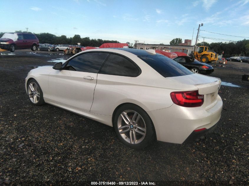 2014 BMW 228I WBA1F5C52EVV99627