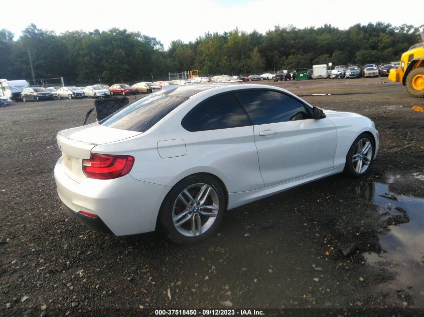 2014 BMW 228I WBA1F5C52EVV99627
