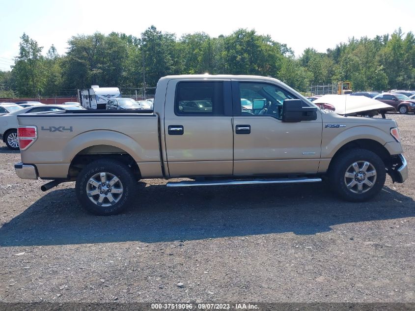 2013 FORD F-150 XL/XLT/FX4/LARIAT - 1FTFW1ET2DFB25943