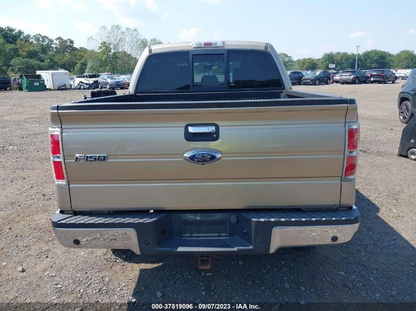 2013 FORD F-150 XL/XLT/FX4/LARIAT - 1FTFW1ET2DFB25943