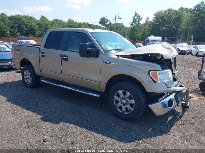 2013 FORD F-150 XL/XLT/FX4/LARIAT - 1FTFW1ET2DFB25943